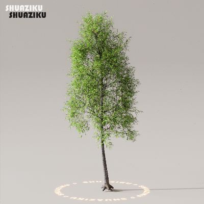 图片[16]-D5渲染器室外植物树木模型下载50个-刷子库