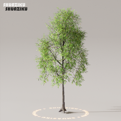 图片[17]-D5渲染器室外植物树木模型下载50个-刷子库