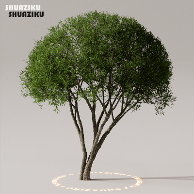 图片[27]-D5渲染器室外植物树木模型下载50个-刷子库