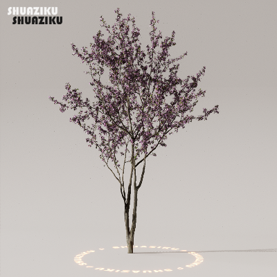 图片[37]-D5渲染器室外植物树木模型下载50个-刷子库