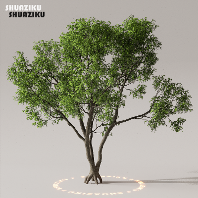 图片[45]-D5渲染器室外植物树木模型下载50个-刷子库