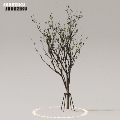 图片[14]-D5渲染器室外植物树木模型下载50个-刷子库