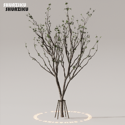 图片[16]-D5渲染器室外植物树木模型下载50个-刷子库