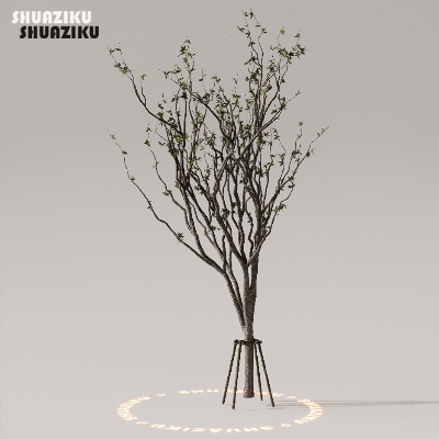 图片[19]-D5渲染器室外植物树木模型下载50个-刷子库