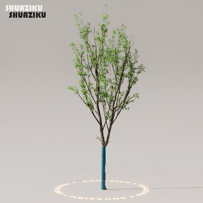 图片[22]-D5渲染器室外植物树木模型下载50个-刷子库