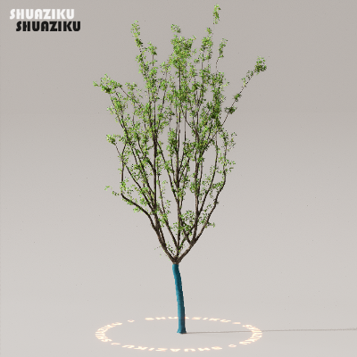 图片[23]-D5渲染器室外植物树木模型下载50个-刷子库