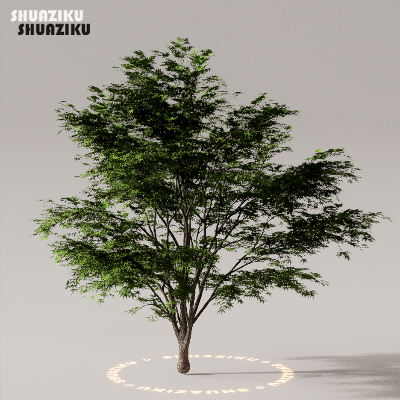 图片[28]-D5渲染器室外植物树木模型下载50个-刷子库