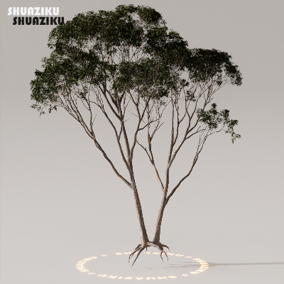 图片[29]-D5渲染器室外植物树木模型下载50个-刷子库