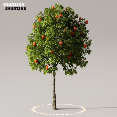 图片[30]-D5渲染器室外植物树木模型下载50个-刷子库