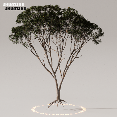 图片[31]-D5渲染器室外植物树木模型下载50个-刷子库