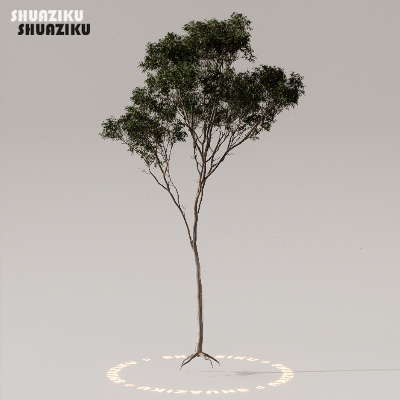 图片[36]-D5渲染器室外植物树木模型下载50个-刷子库