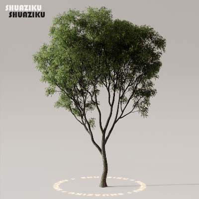 图片[46]-D5渲染器室外植物树木模型下载50个-刷子库