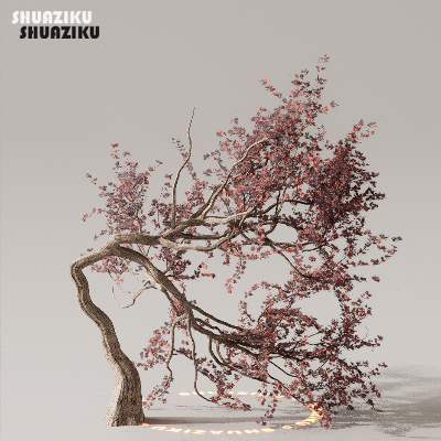 图片[3]-D5渲染器室外植物树木模型下载50个-刷子库