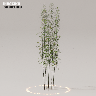 图片[4]-D5渲染器室外植物树木模型下载50个-刷子库