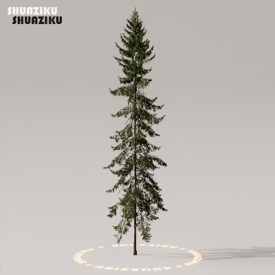 图片[6]-D5渲染器室外植物树木模型下载50个-刷子库