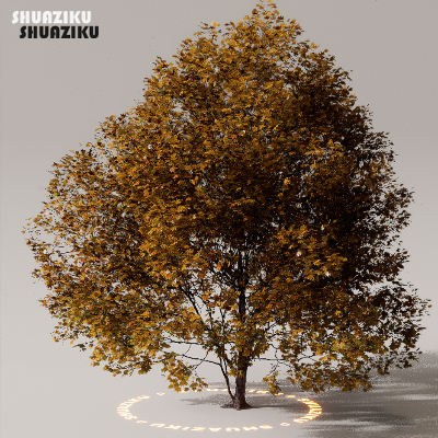 图片[7]-D5渲染器室外植物树木模型下载50个-刷子库
