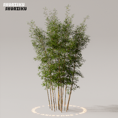 图片[8]-D5渲染器室外植物树木模型下载50个-刷子库