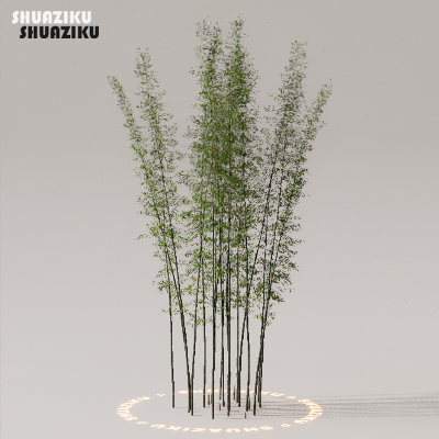 图片[14]-D5渲染器室外植物树木模型下载50个-刷子库