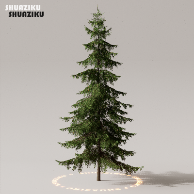 图片[20]-D5渲染器室外植物树木模型下载50个-刷子库