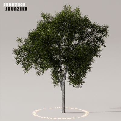 图片[28]-D5渲染器室外植物树木模型下载50个-刷子库