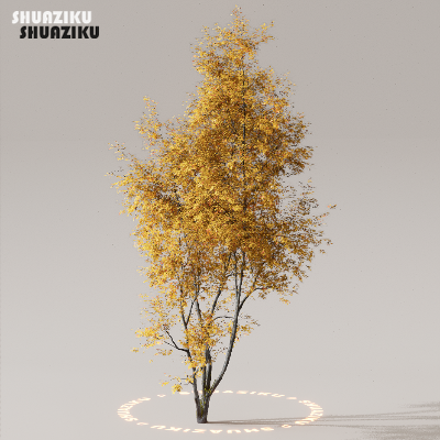 图片[31]-D5渲染器室外植物树木模型下载50个-刷子库