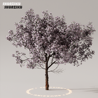 图片[34]-D5渲染器室外植物树木模型下载50个-刷子库