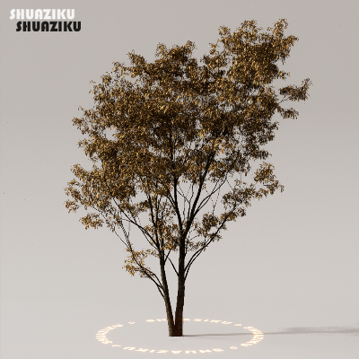 图片[40]-D5渲染器室外植物树木模型下载50个-刷子库