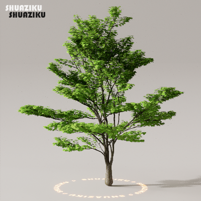 图片[41]-D5渲染器室外植物树木模型下载50个-刷子库