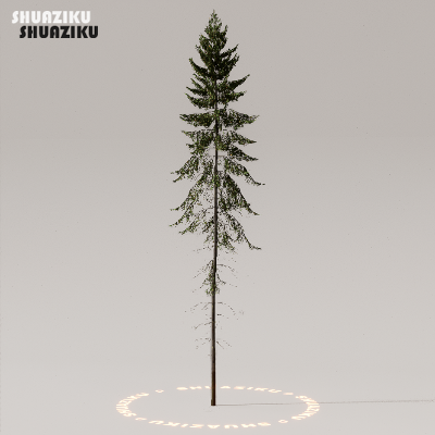 图片[1]-D5渲染器室外植物树木模型下载50个-刷子库