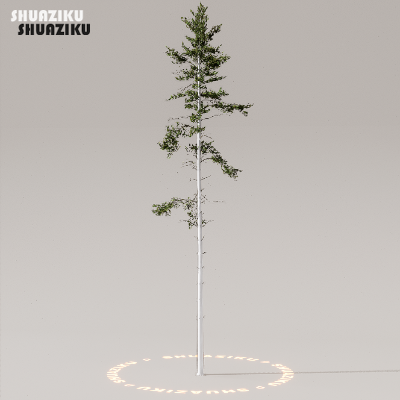 图片[5]-D5渲染器室外植物树木模型下载50个-刷子库