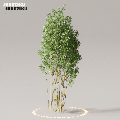 图片[6]-D5渲染器室外植物树木模型下载50个-刷子库