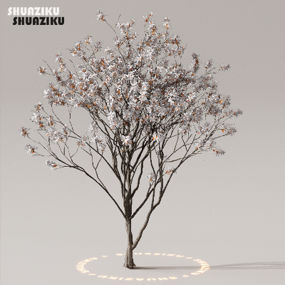 图片[10]-D5渲染器室外植物树木模型下载50个-刷子库