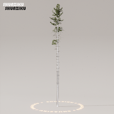 图片[11]-D5渲染器室外植物树木模型下载50个-刷子库