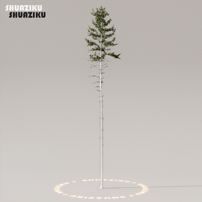 图片[15]-D5渲染器室外植物树木模型下载50个-刷子库