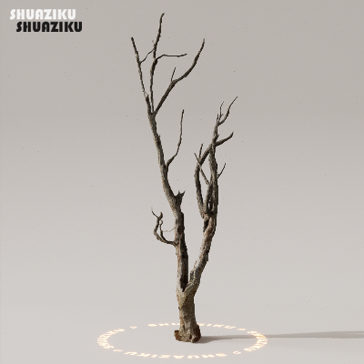 图片[16]-D5渲染器室外植物树木模型下载50个-刷子库