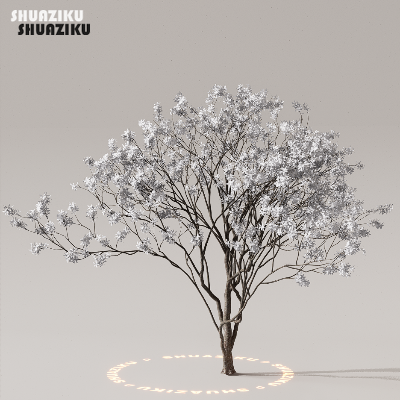 图片[17]-D5渲染器室外植物树木模型下载50个-刷子库