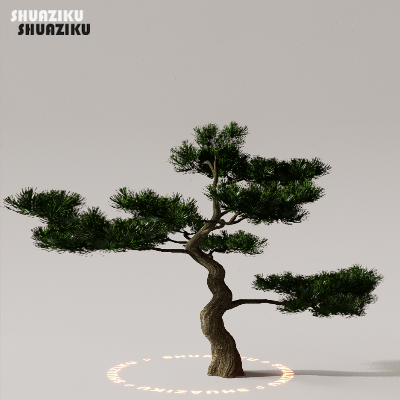 图片[19]-D5渲染器室外植物树木模型下载50个-刷子库