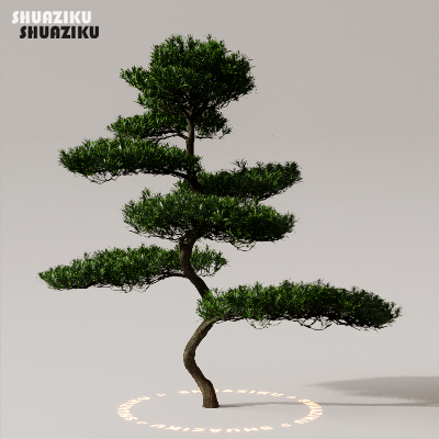 图片[21]-D5渲染器室外植物树木模型下载50个-刷子库