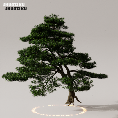 图片[22]-D5渲染器室外植物树木模型下载50个-刷子库