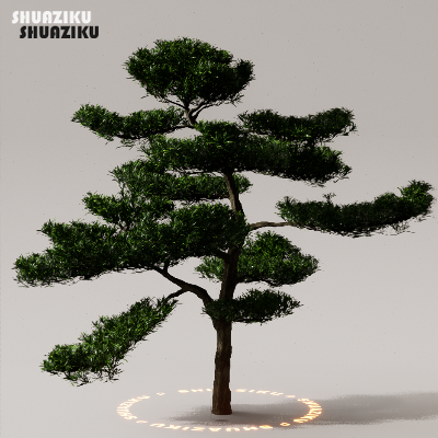 图片[26]-D5渲染器室外植物树木模型下载50个-刷子库