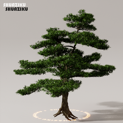 图片[28]-D5渲染器室外植物树木模型下载50个-刷子库