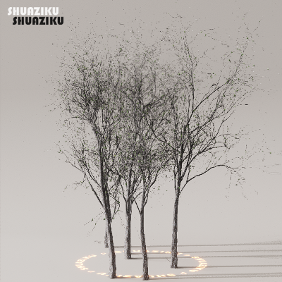 图片[29]-D5渲染器室外植物树木模型下载50个-刷子库