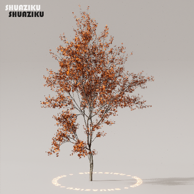 图片[32]-D5渲染器室外植物树木模型下载50个-刷子库