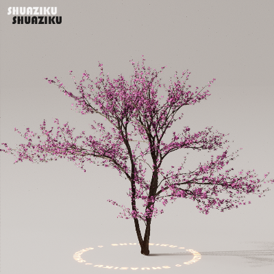 图片[33]-D5渲染器室外植物树木模型下载50个-刷子库