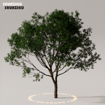 图片[35]-D5渲染器室外植物树木模型下载50个-刷子库