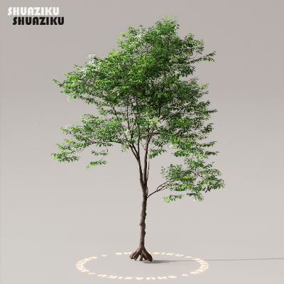 图片[37]-D5渲染器室外植物树木模型下载50个-刷子库