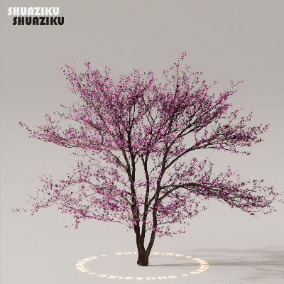 图片[39]-D5渲染器室外植物树木模型下载50个-刷子库