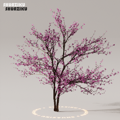 图片[40]-D5渲染器室外植物树木模型下载50个-刷子库