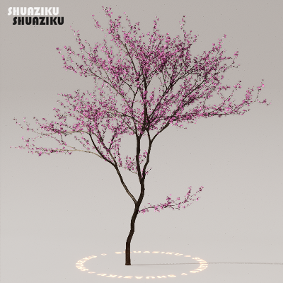 图片[42]-D5渲染器室外植物树木模型下载50个-刷子库