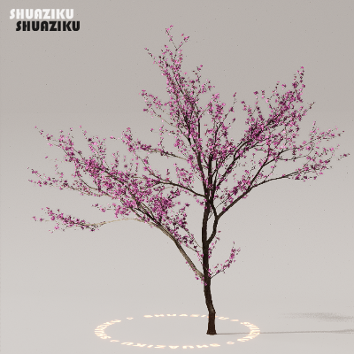 图片[43]-D5渲染器室外植物树木模型下载50个-刷子库